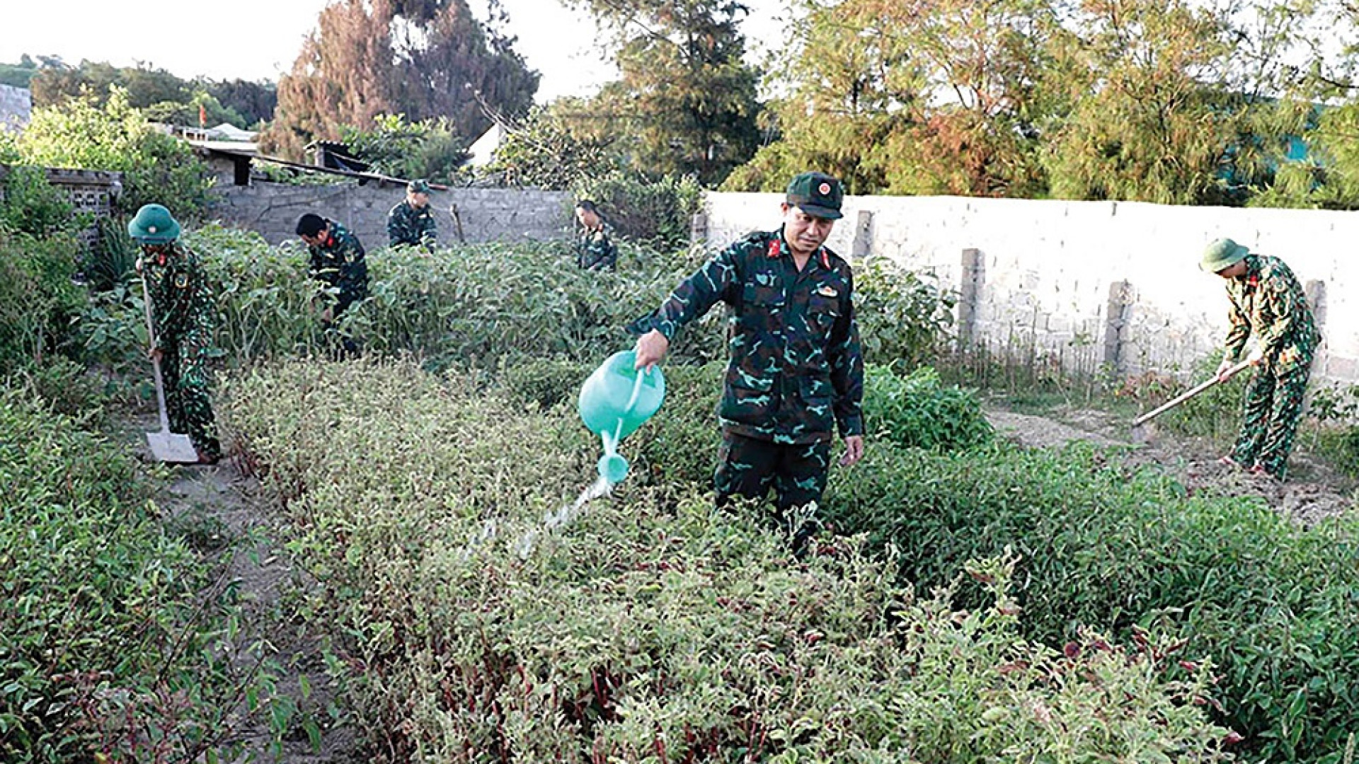 Ban CHQS huyện Bạch Long Vĩ (thành phố Hải Phòng): Vượt khó, tăng gia hiệu quả