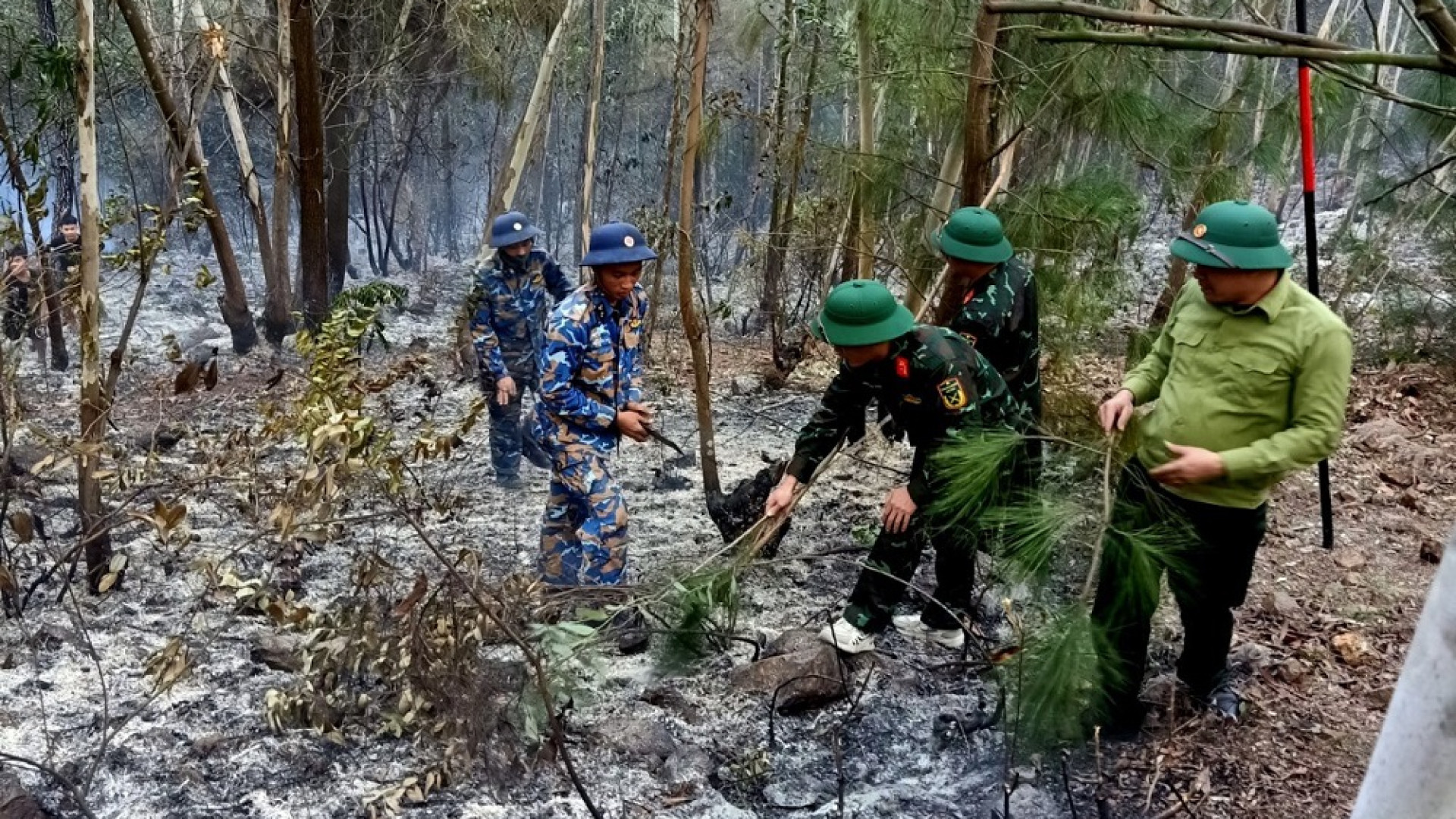 Các lực lượng phối hợp cứu cháy rừng liên hoàn tại huyện Thuỷ Nguyên