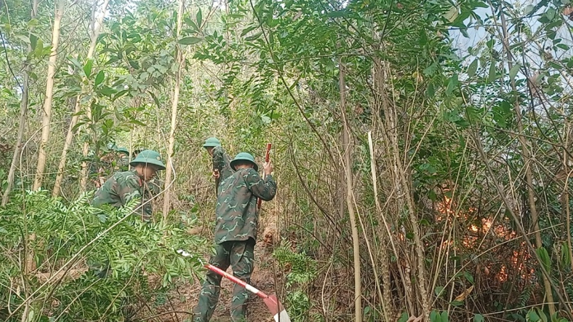 Lữ đoàn Thông tin 603 tham gia cứu cháy rừng tại quận Kiến An