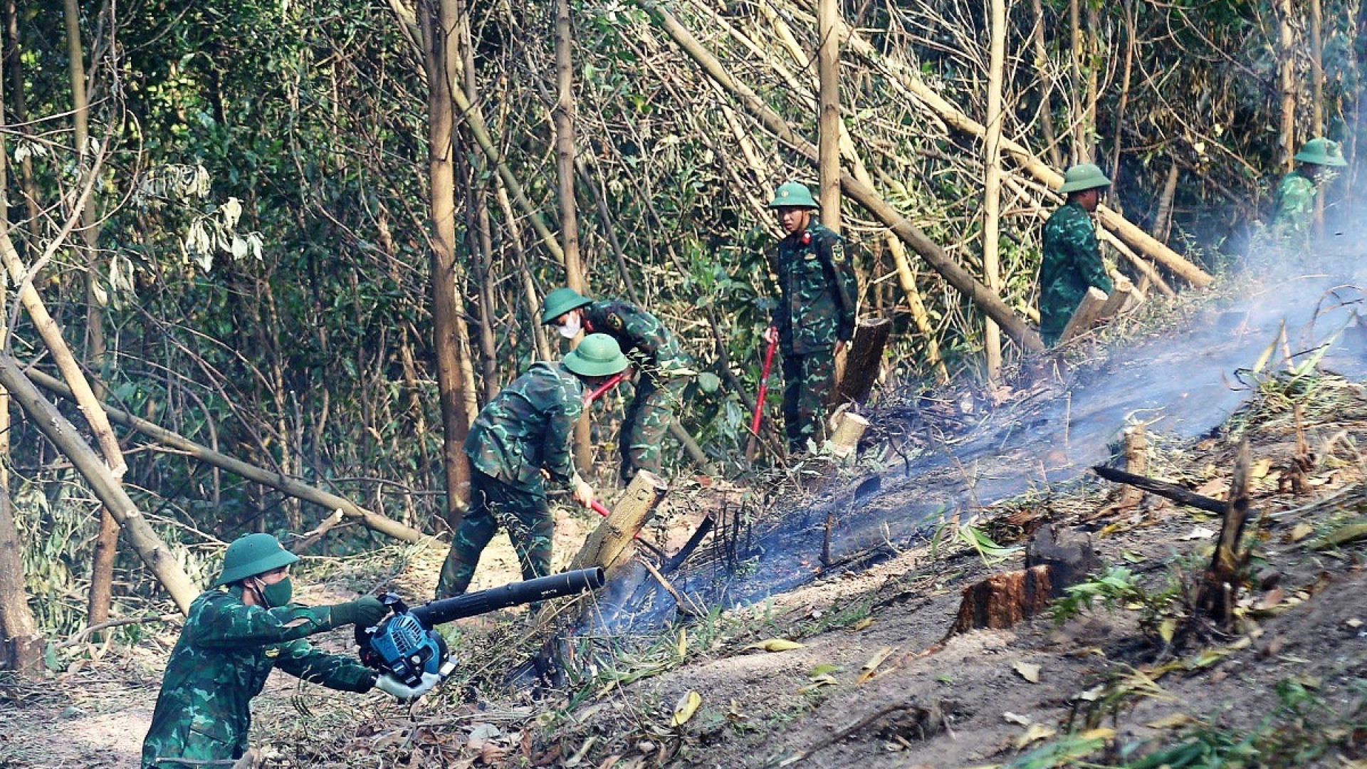 Tỉnh Quảng Ninh diễn tập phương án chữa cháy rừng