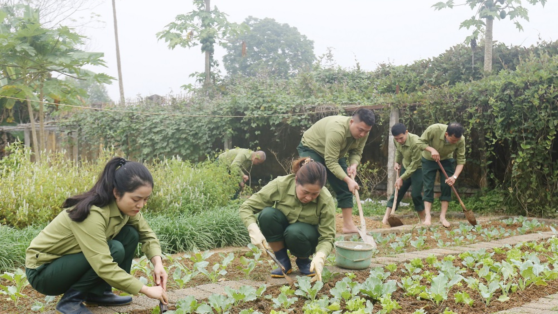 Ban CHQS huyện Kim Bôi (Hòa Bình): Khắc phục khó khăn, đẩy mạnh tăng gia sản xuất