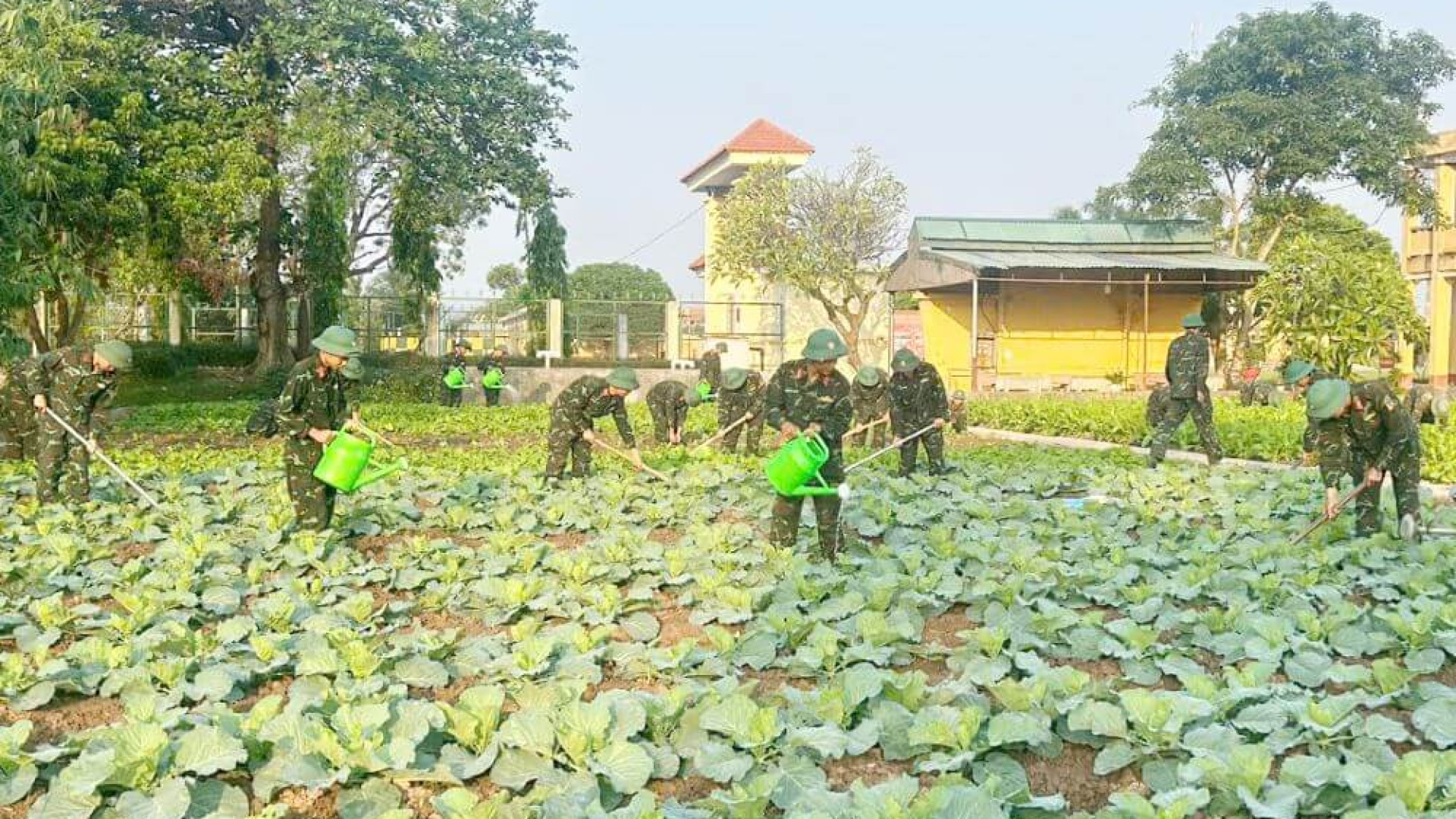 Lữ đoàn 214: Đẩy mạnh tăng gia, nâng cao đời sống bộ đội