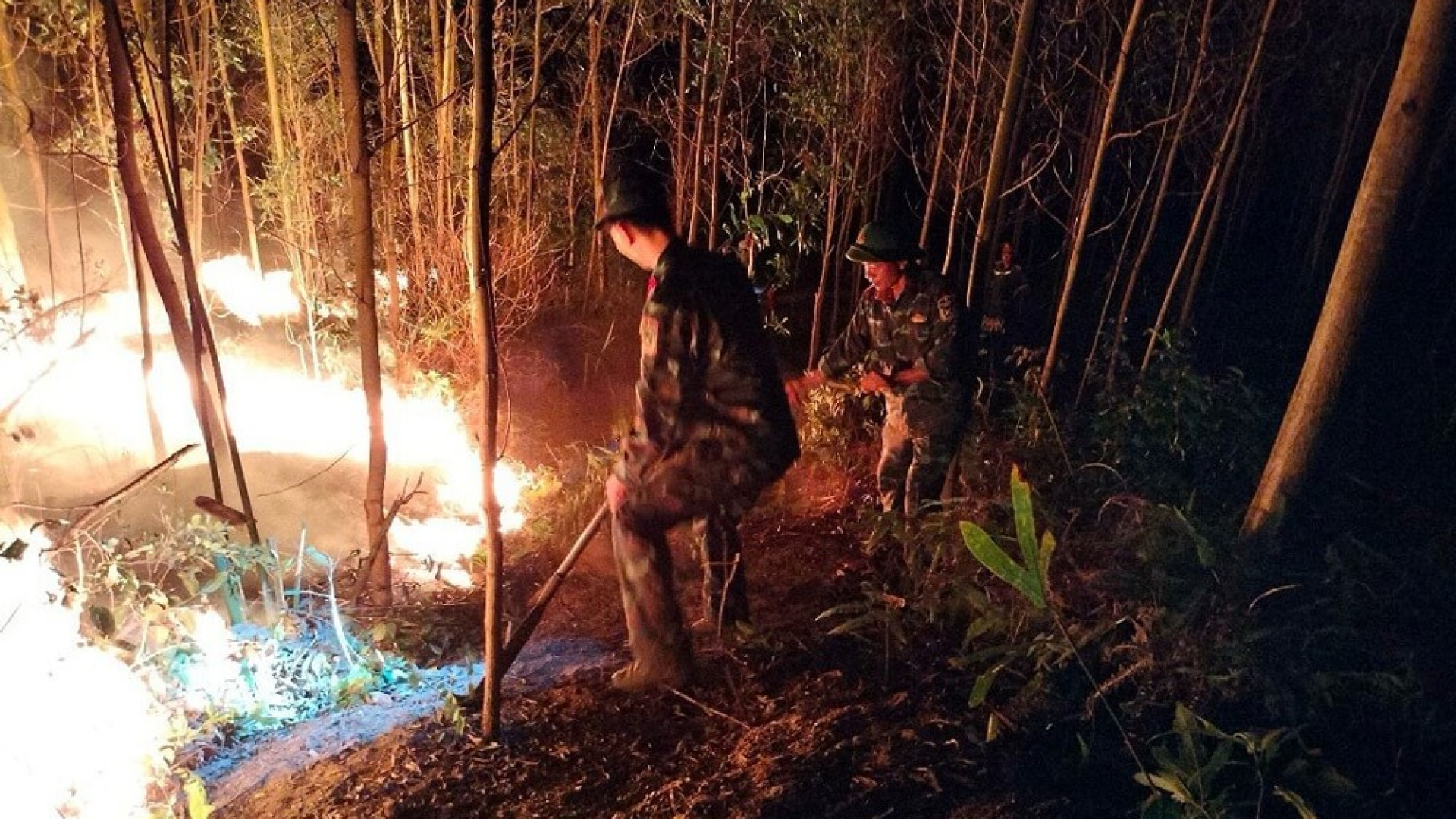 Ban CHQS TP Uông Bí phối hợp dập tắt đám cháy rừng