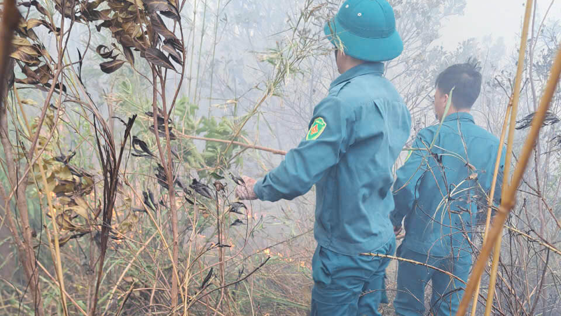 Kịp thời dập tắt hoàn toàn cháy rừng tại xã đảo Minh Châu, huyện Vân Đồn (Quảng Ninh)