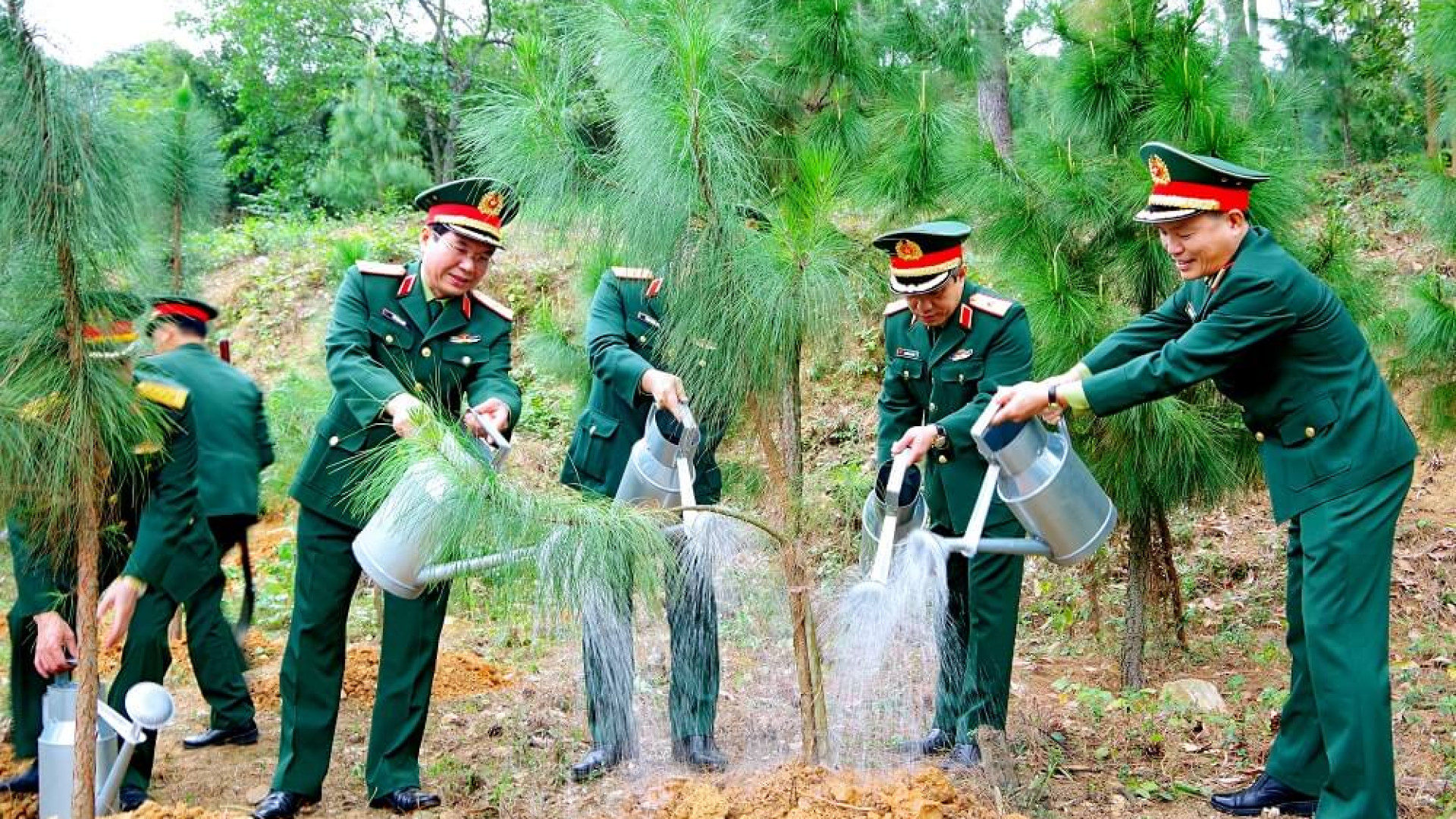 Quân khu trồng được hơn 12 vạn cây xanh dịp đầu Xuân Giáp Thìn 2024